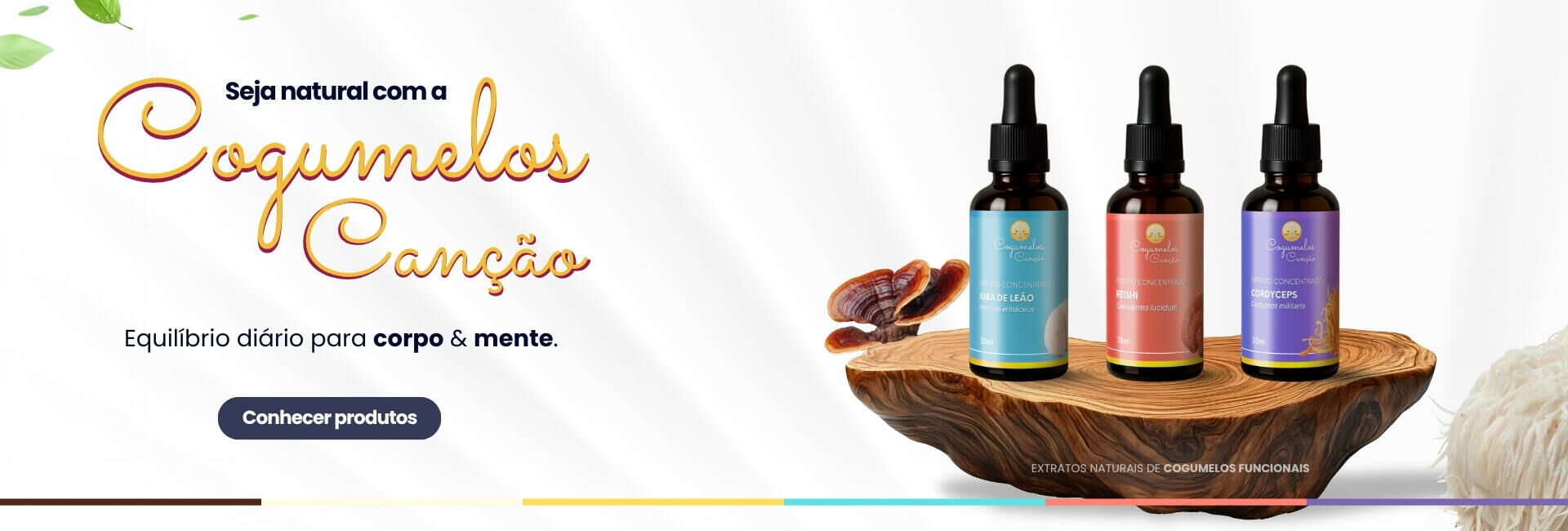 Banner Institucional - Cogumelos Canção